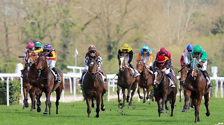 GRANDS PINS – Une femme prend les rênes de l’hippodrome montois